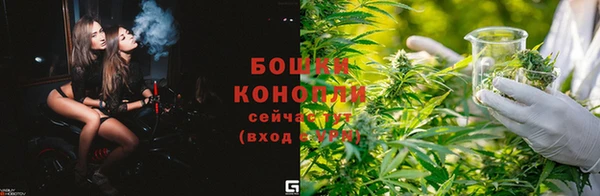 твердый Горнозаводск