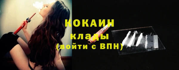 твердый Горнозаводск