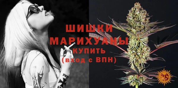 твердый Горнозаводск